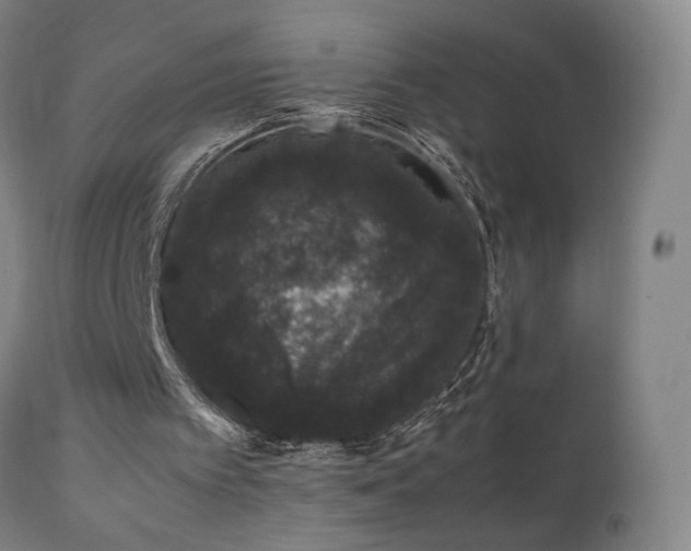 X0000111660097200907171620