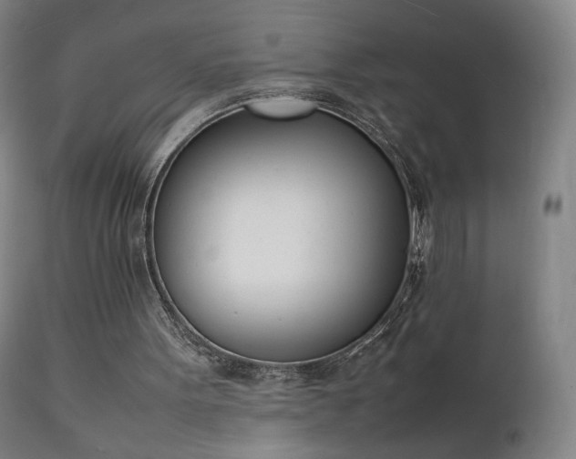 X0000111660099200907171620