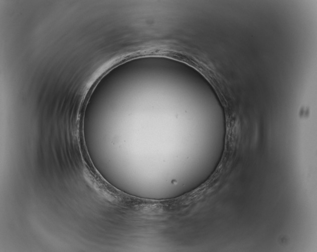 X0000111660100200907171620
