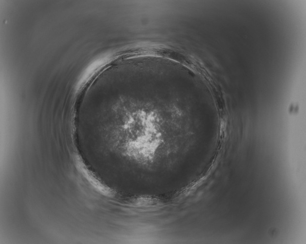 X0000111660101200907171620