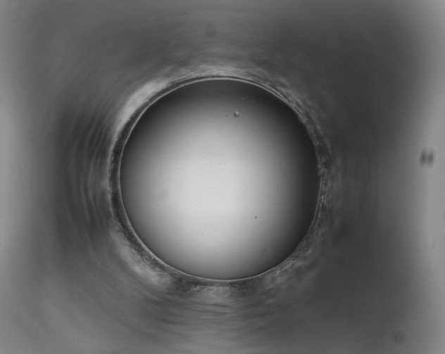 X0000111660104200907171620