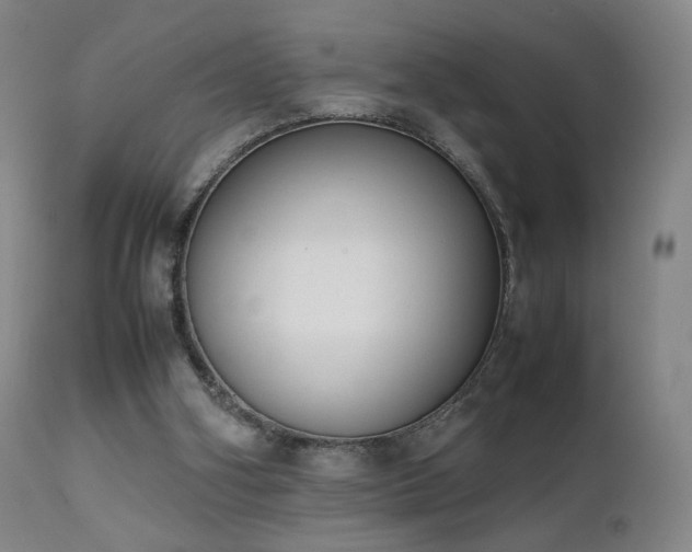 X0000111660106200907171620