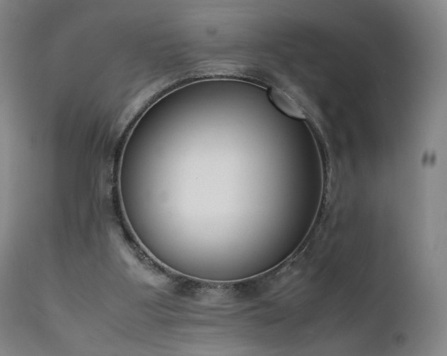 X0000111660107200907171620