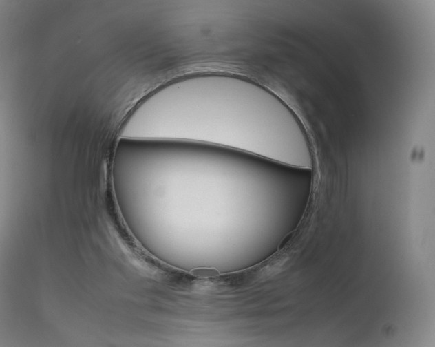 X0000111660109200907171620