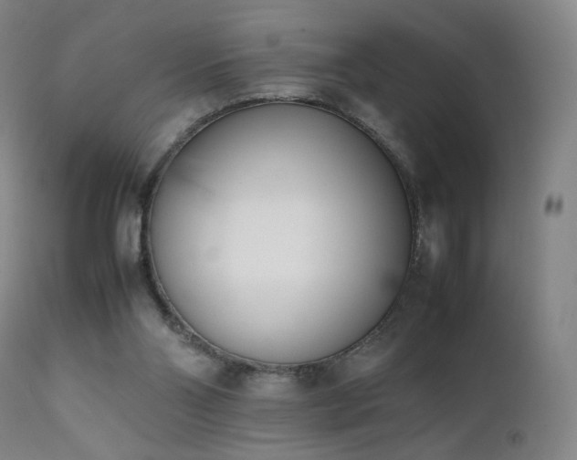 X0000111660110200907171620