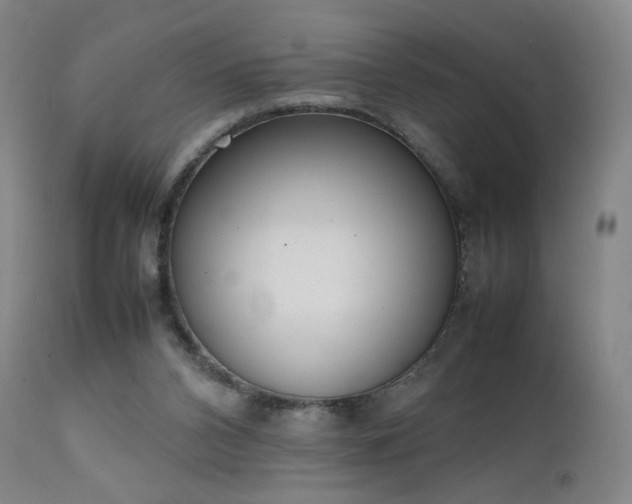 X0000111660112200907171620