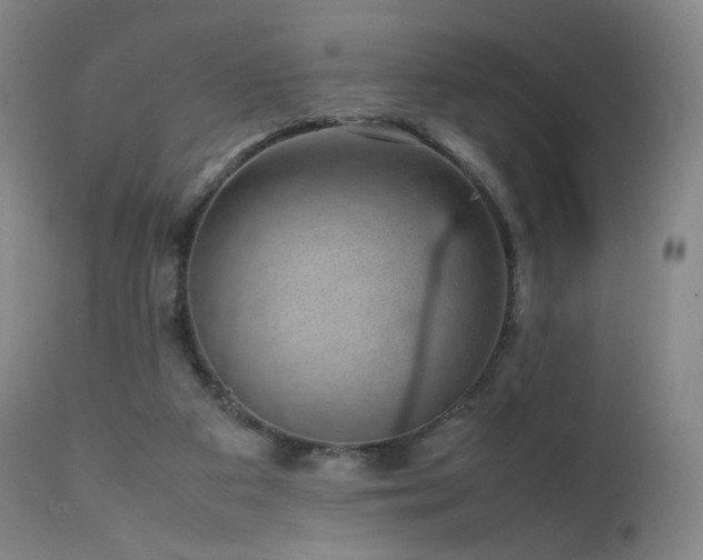 X0000111660113200907171620