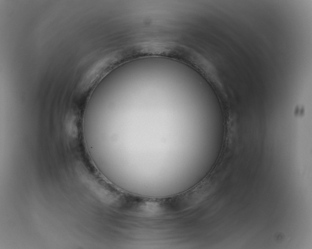 X0000111660114200907171620