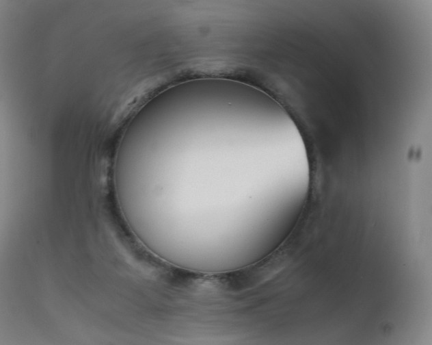 X0000111660115200907171620