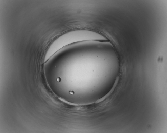 X0000111660117200907171620