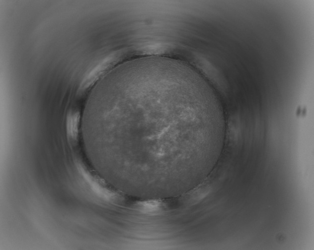 X0000111660118200907171620