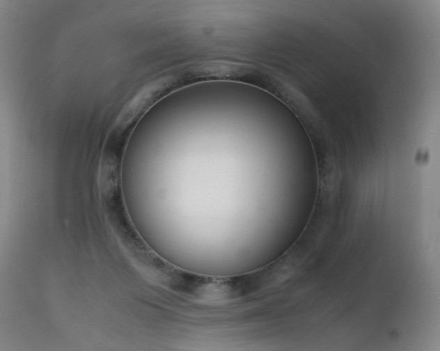 X0000111660119200907171620