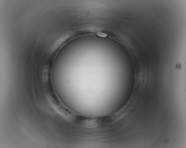 X0000111660120200907171620