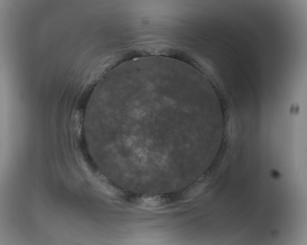 X0000111660121200907171620
