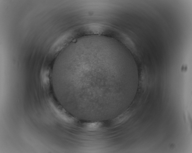 X0000111660122200907171620