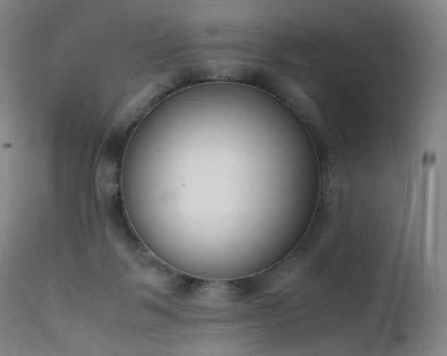 X0000111660123200907171620