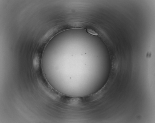 X0000111660124200907171620
