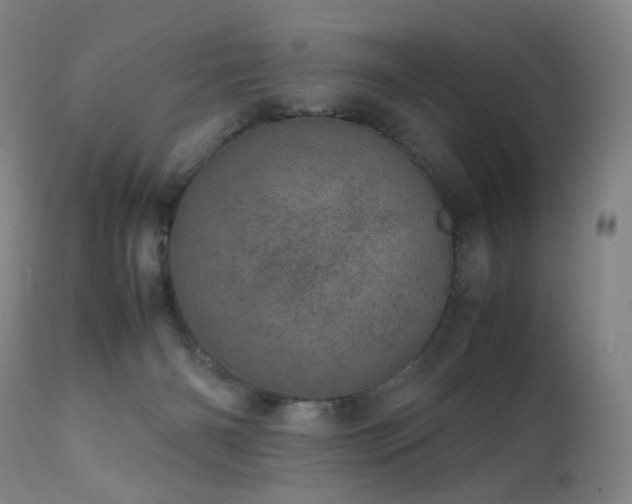 X0000111660126200907171620