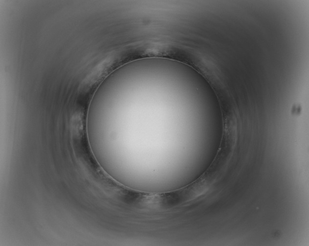 X0000111660127200907171620