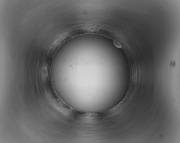 X0000111660128200907171620