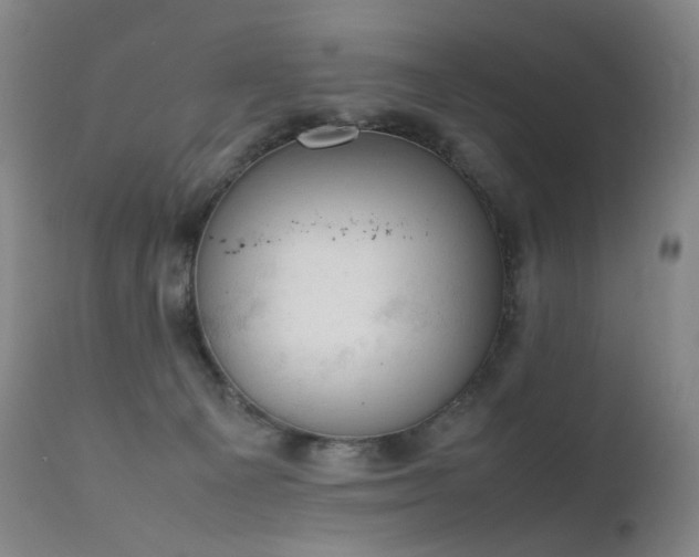 X0000111660129200907171620