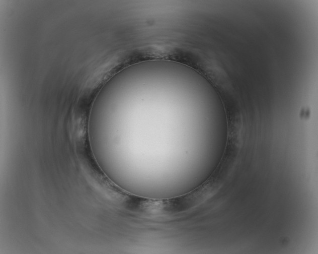X0000111660131200907171620