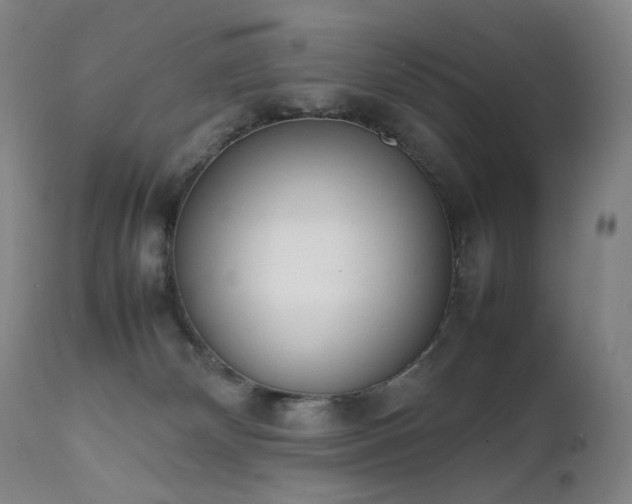 X0000111660132200907171620