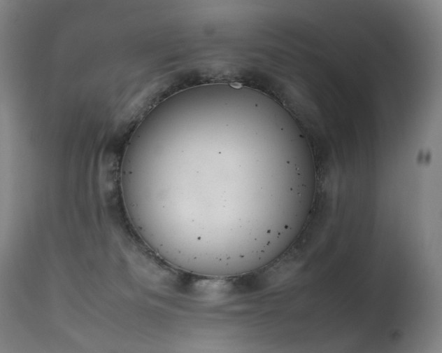 X0000111660133200907171620