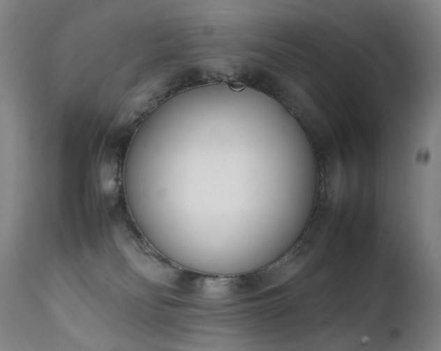 X0000111660134200907171620