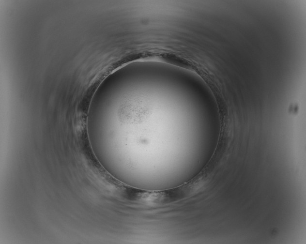 X0000111660135200907171620