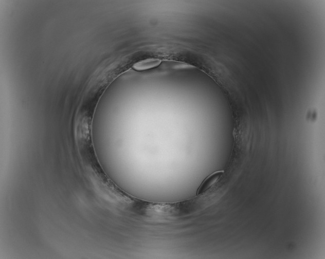 X0000111660137200907171620