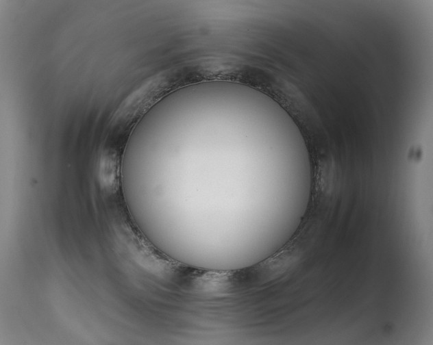 X0000111660138200907171619