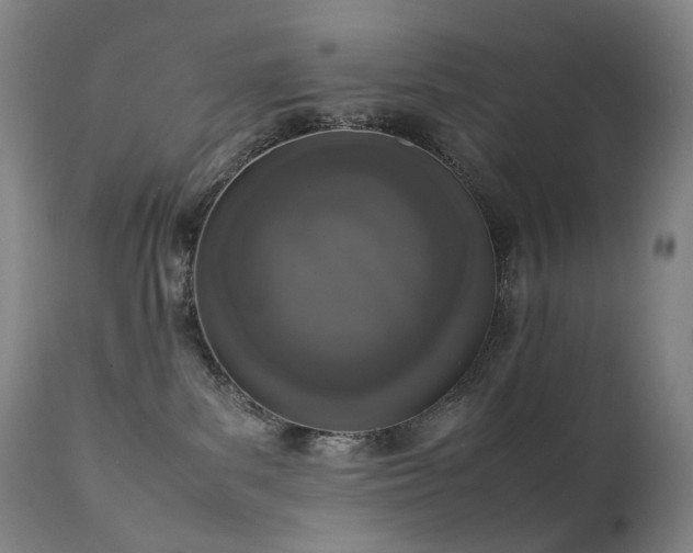 X0000111660139200907171619