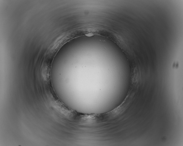 X0000111660140200907171619