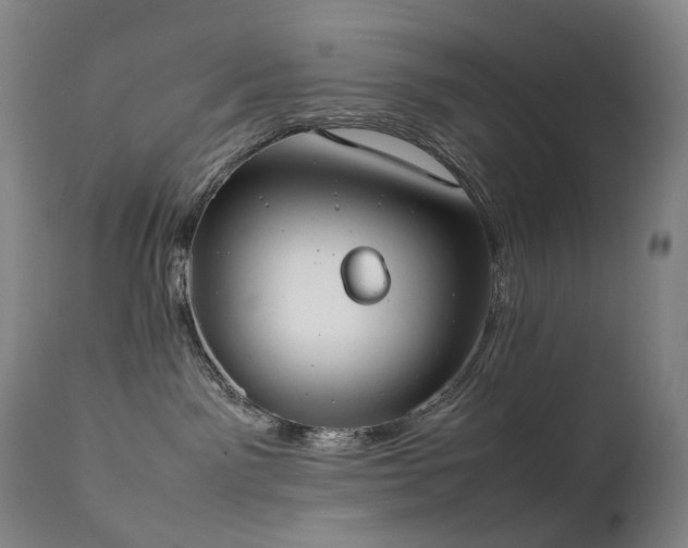 X0000111660141200907171619