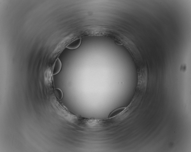 X0000111660142200907171619