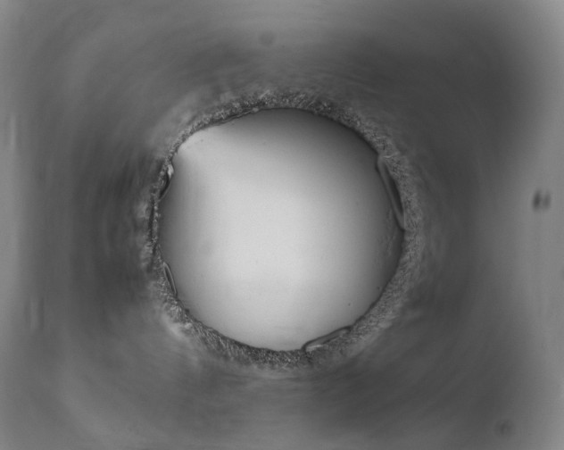 X0000111660144200907171619