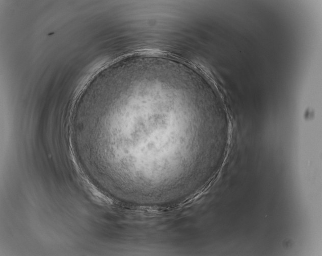 X0000111660145200907171619