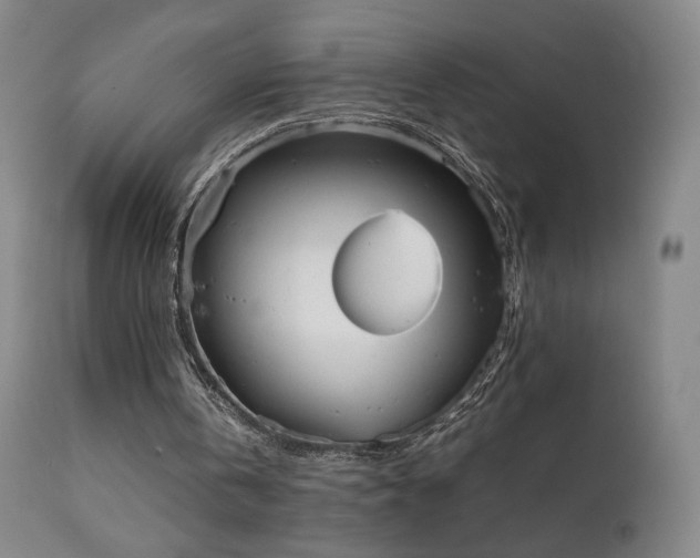 X0000111660146200907171619