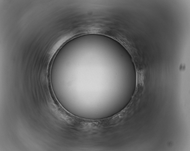 X0000111660147200907171619