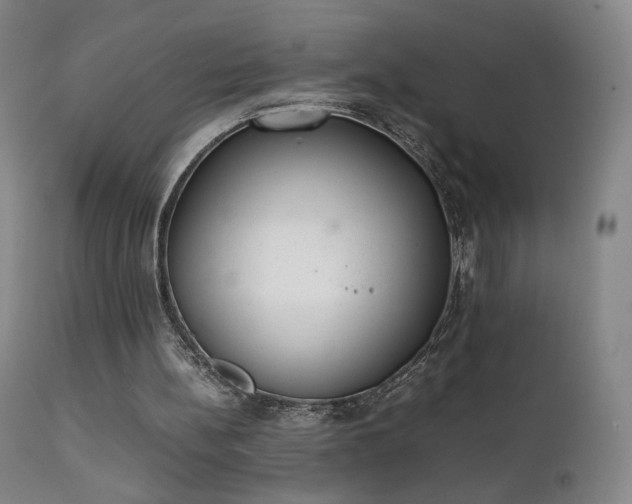 X0000111660148200907171619