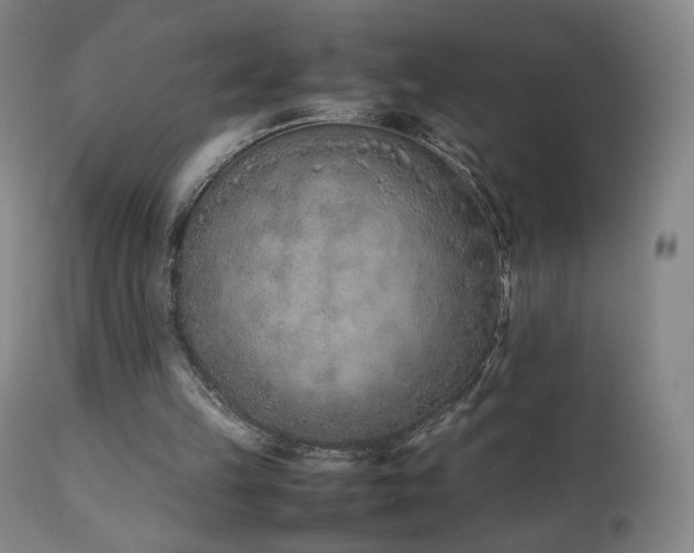 X0000111660149200907171619