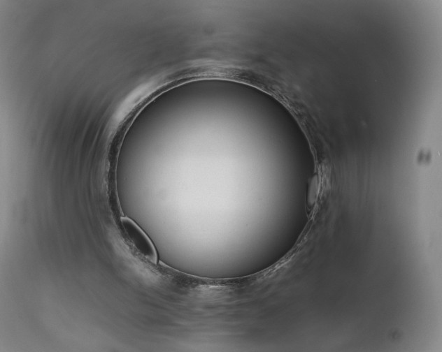 X0000111660150200907171619