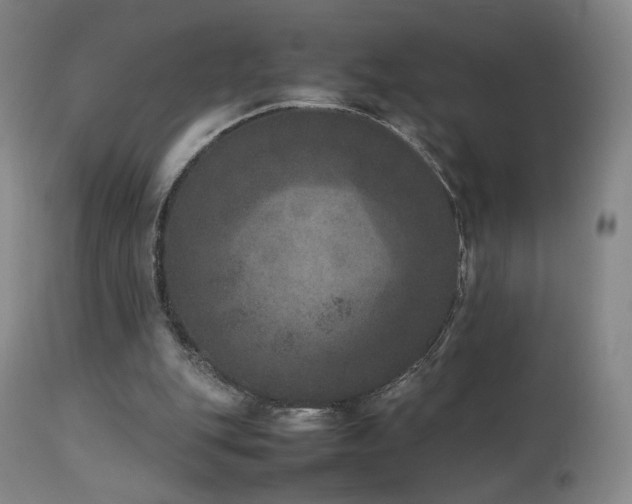 X0000111660151200907171619