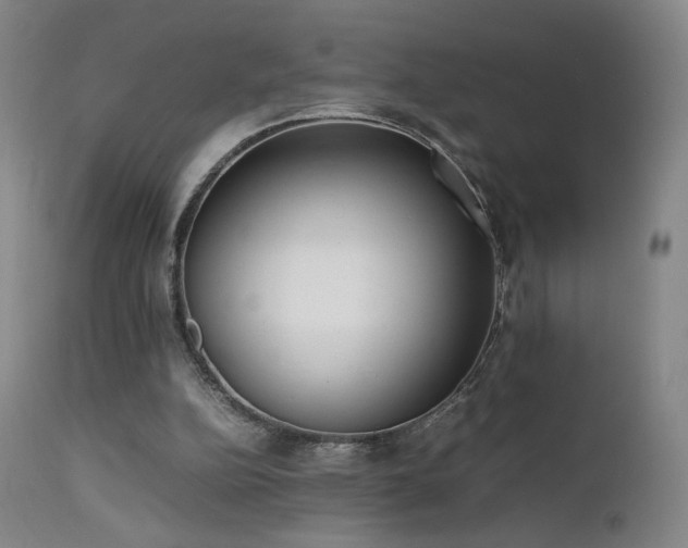 X0000111660152200907171619