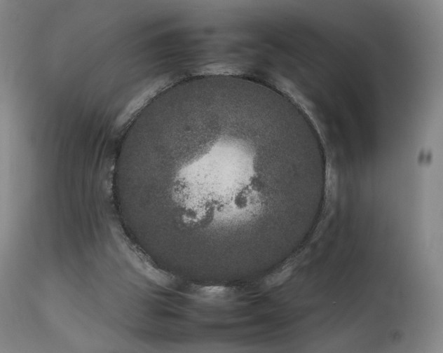 X0000111660153200907171619