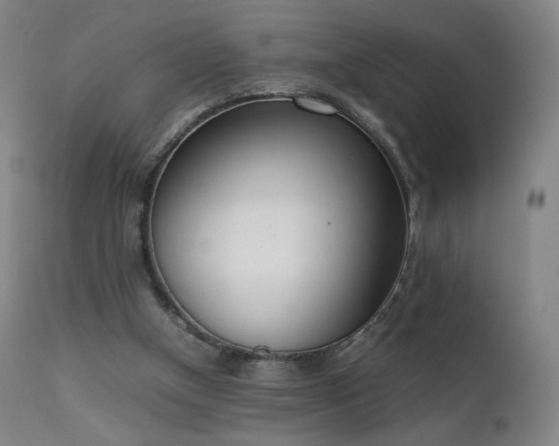 X0000111660154200907171619