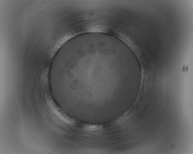 X0000111660155200907171619