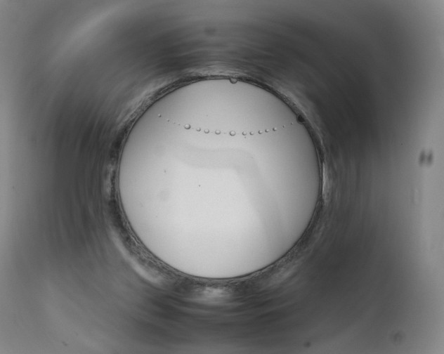 X0000111660157200907171619
