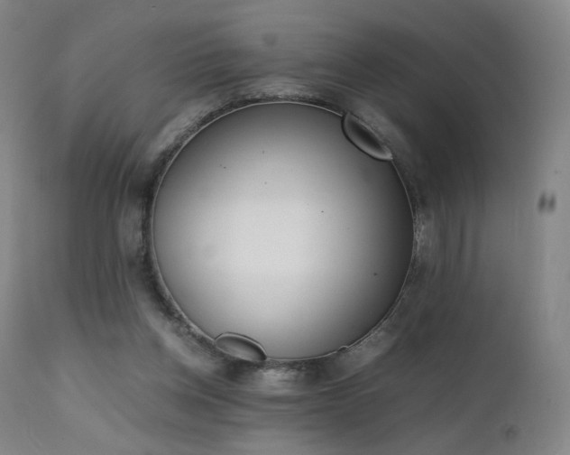 X0000111660158200907171619